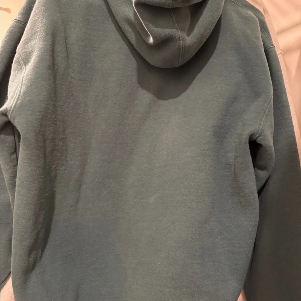 Glossier Sage Hoodie - Picture 4 of 4